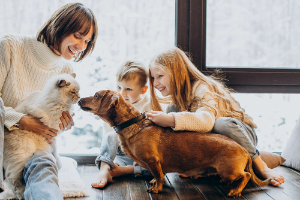 Ivaoes Animal Health